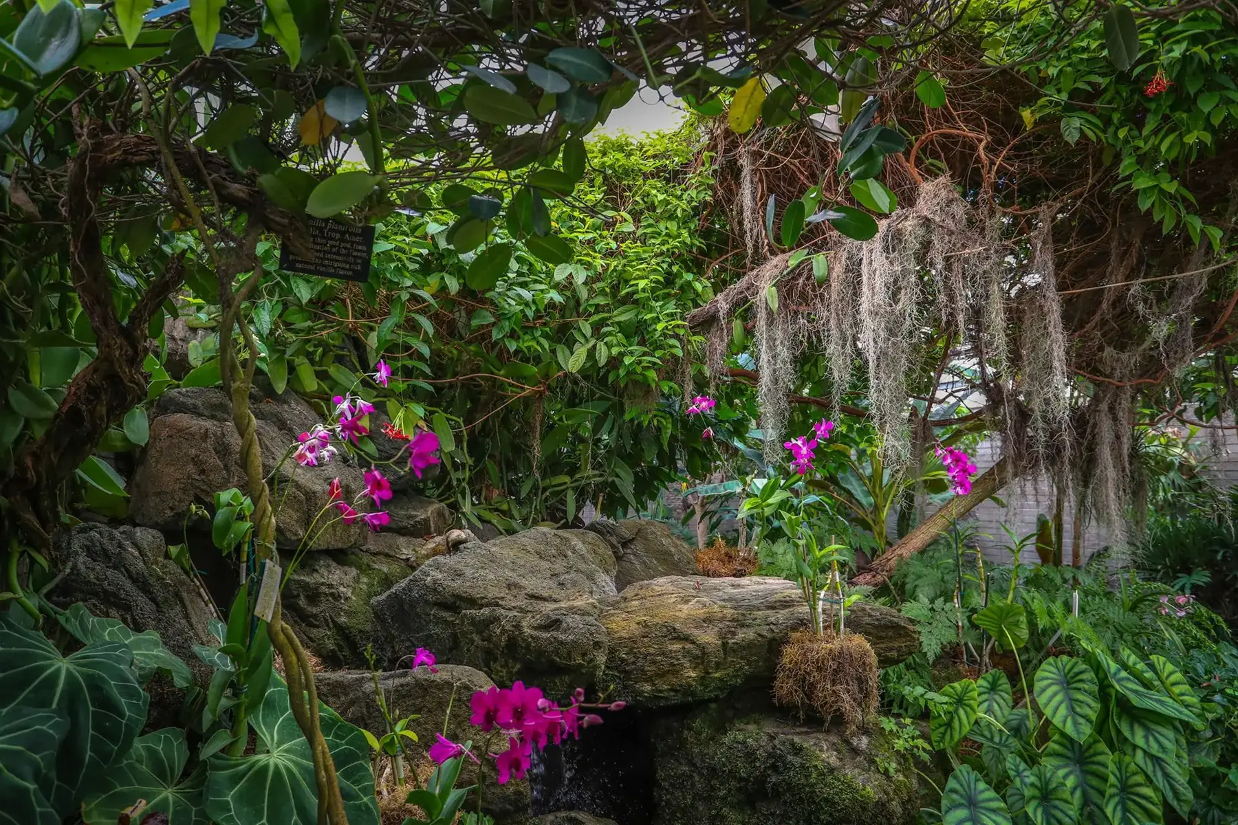 The Los Angeles County Arboretum